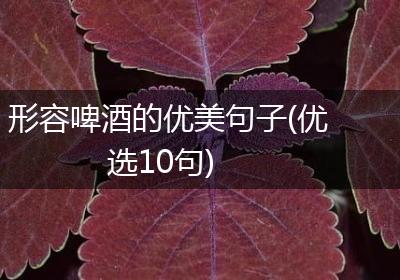 形容啤酒的优美句子(优选10句)