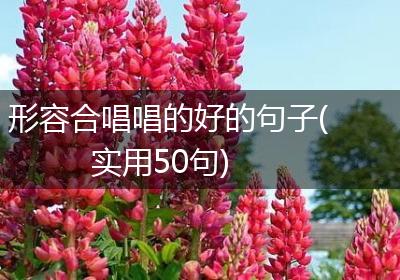 形容合唱唱的好的句子(实用50句)
