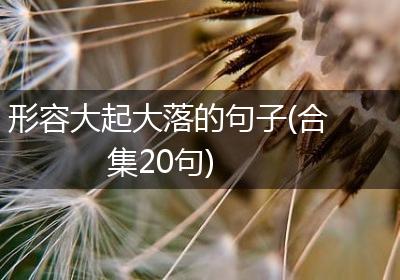形容大起大落的句子(合集20句)