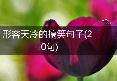 形容天冷的搞笑句子(20句)
