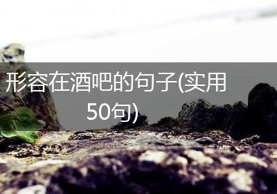 形容在酒吧的句子(实用50句)