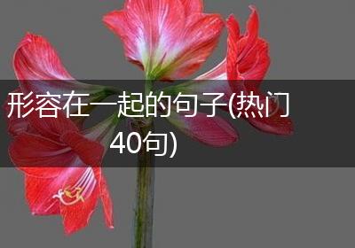 形容在一起的句子(热门40句)
