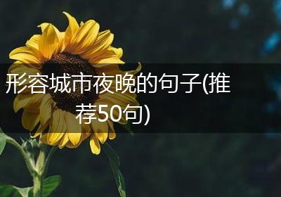 形容城市夜晚的句子(推荐50句)