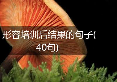 形容培训后结果的句子(40句)