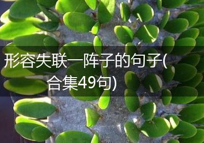 形容失联一阵子的句子(合集49句)