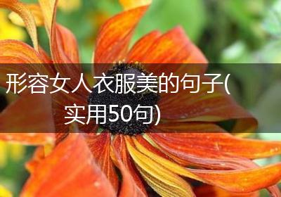 形容女人衣服美的句子(实用50句)