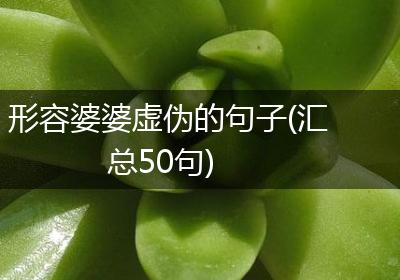 形容婆婆虚伪的句子(汇总50句)
