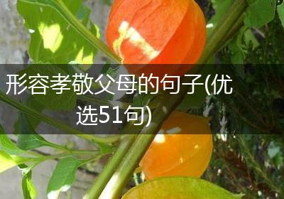 形容孝敬父母的句子(优选51句)