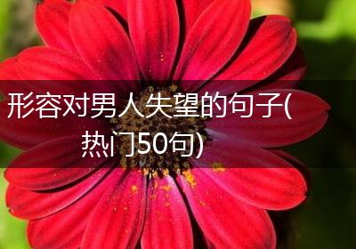 形容对男人失望的句子(热门50句)