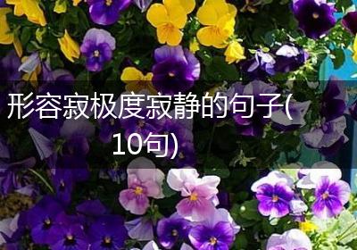 形容寂极度寂静的句子(10句)