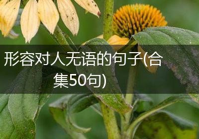 形容对人无语的句子(合集50句)