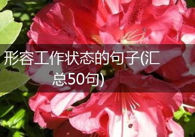 形容工作状态的句子(汇总50句)