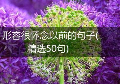 形容很怀念以前的句子(精选50句)