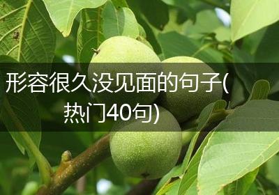 形容很久没见面的句子(热门40句)