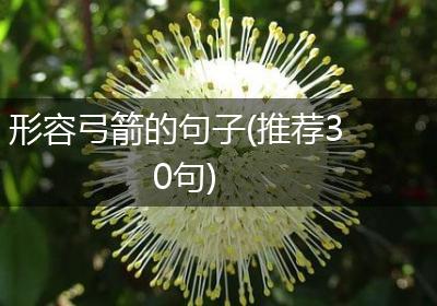 形容弓箭的句子(推荐30句)