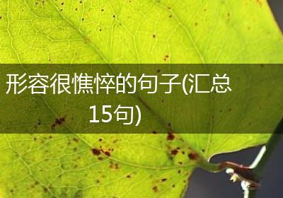 形容很憔悴的句子(汇总15句)