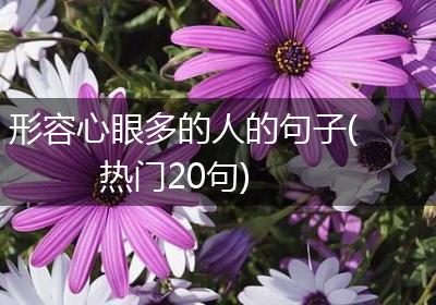 形容心眼多的人的句子(热门20句)