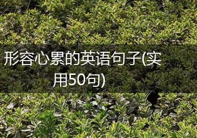 形容心累的英语句子(实用50句)
