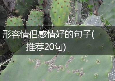 形容情侣感情好的句子(推荐20句)
