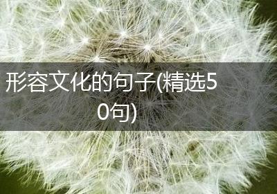 形容文化的句子(精选50句)