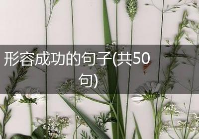 形容成功的句子(共50句)