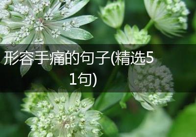 形容手痛的句子(精选51句)
