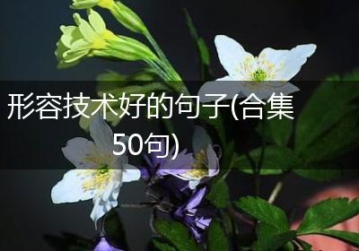 形容技术好的句子(合集50句)