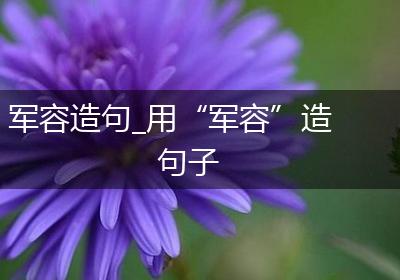 军容造句_用“军容”造句子