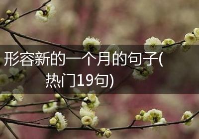 形容新的一个月的句子(热门19句)