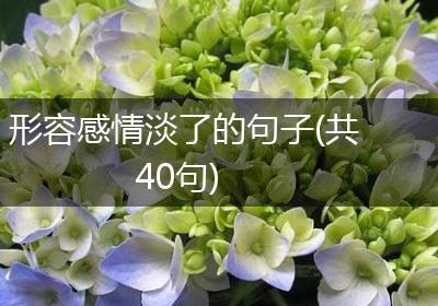形容感情淡了的句子(共40句)