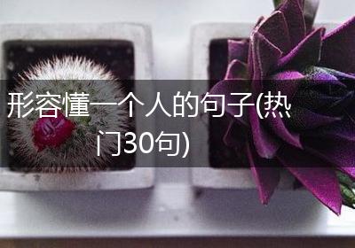 形容懂一个人的句子(热门30句)