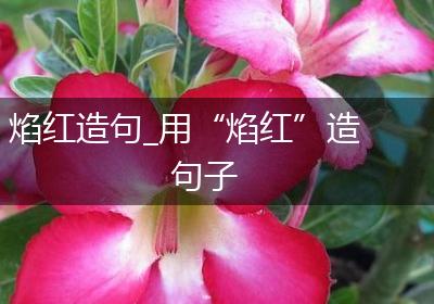 焰红造句_用“焰红”造句子