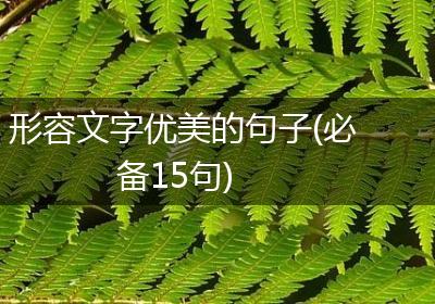 形容文字优美的句子(必备15句)