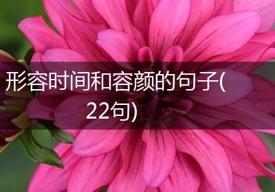 形容时间和容颜的句子(22句)