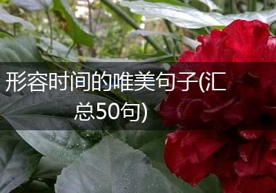 形容时间的唯美句子(汇总50句)