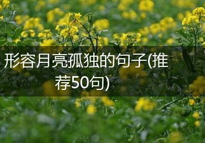 形容月亮孤独的句子(推荐50句)