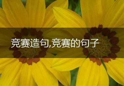 竞赛造句,竞赛的句子