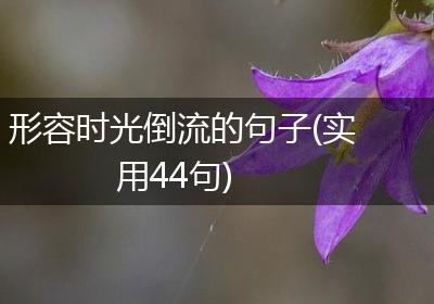 形容时光倒流的句子(实用44句)