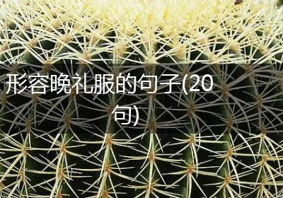形容晚礼服的句子(20句)