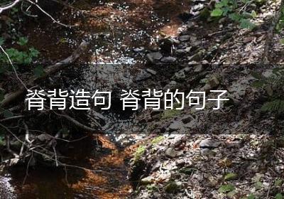 脊背造句 脊背的句子