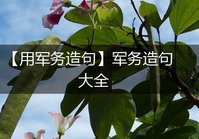 【用军务造句】军务造句大全