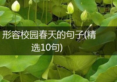 形容校园春天的句子(精选10句)