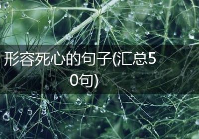 形容死心的句子(汇总50句)
