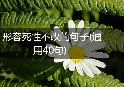 形容死性不改的句子(通用40句)