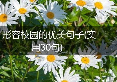 形容校园的优美句子(实用30句)