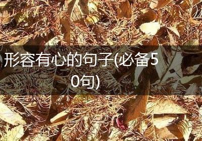 形容有心的句子(必备50句)