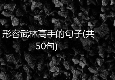 形容武林高手的句子(共50句)