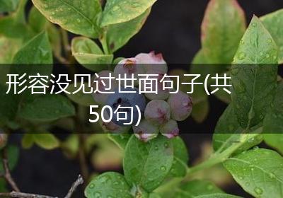 形容没见过世面句子(共50句)