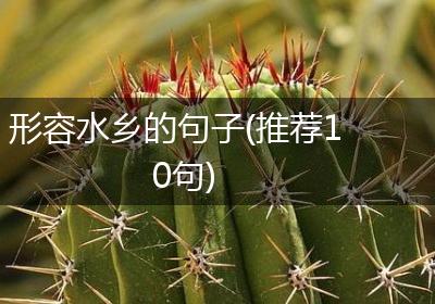 形容水乡的句子(推荐10句)