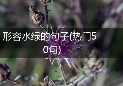 形容水绿的句子(热门50句)